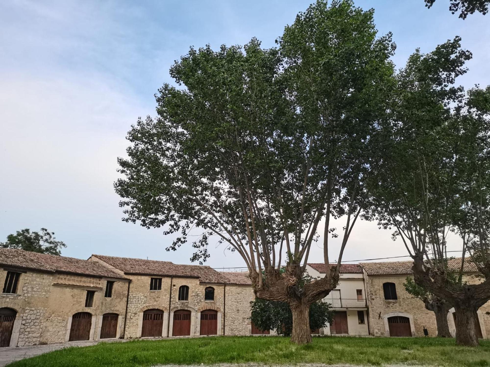 Domus Lineker Daire Venafro Dış mekan fotoğraf